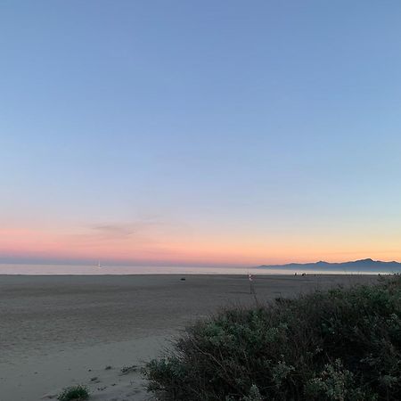 Le Regina Hotel Et Restaurant Canet-Plage Exterior photo